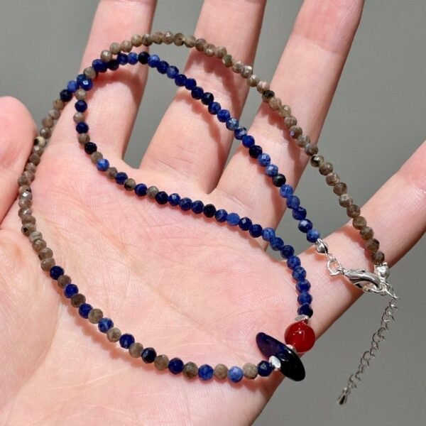 Wisdom & Strength Power Lapis Lazuli Red Agate Blue Crystal Necklace