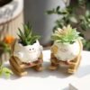 Face Rocking Succulent Planter Garden Pots (50%OFF)