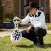 goose outfits