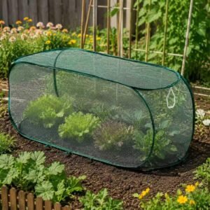 plant cover